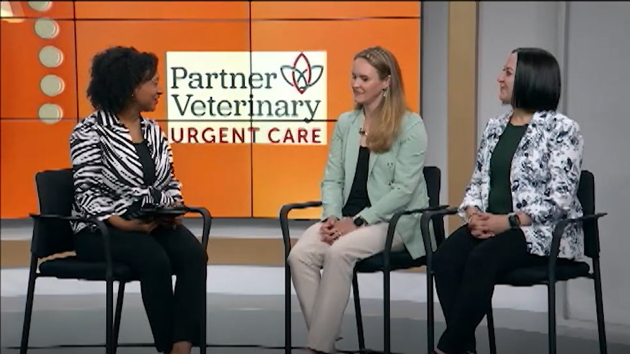 showcase richmond tv interview of partner vet urgent care
